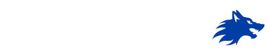 ایران لنوکس